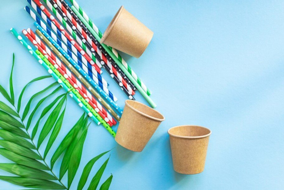 Eco-Friendly Paper Straws 