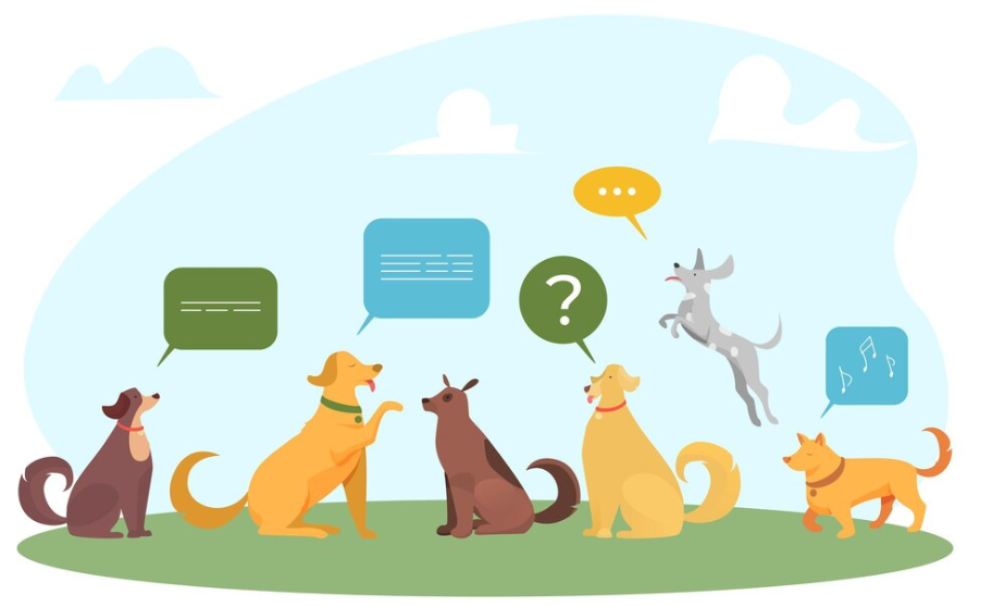 Faqs for animal fostering